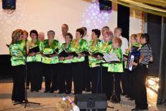 Okresná prehliadka speváckych skupín a sólistov seniorov okresu Brezno